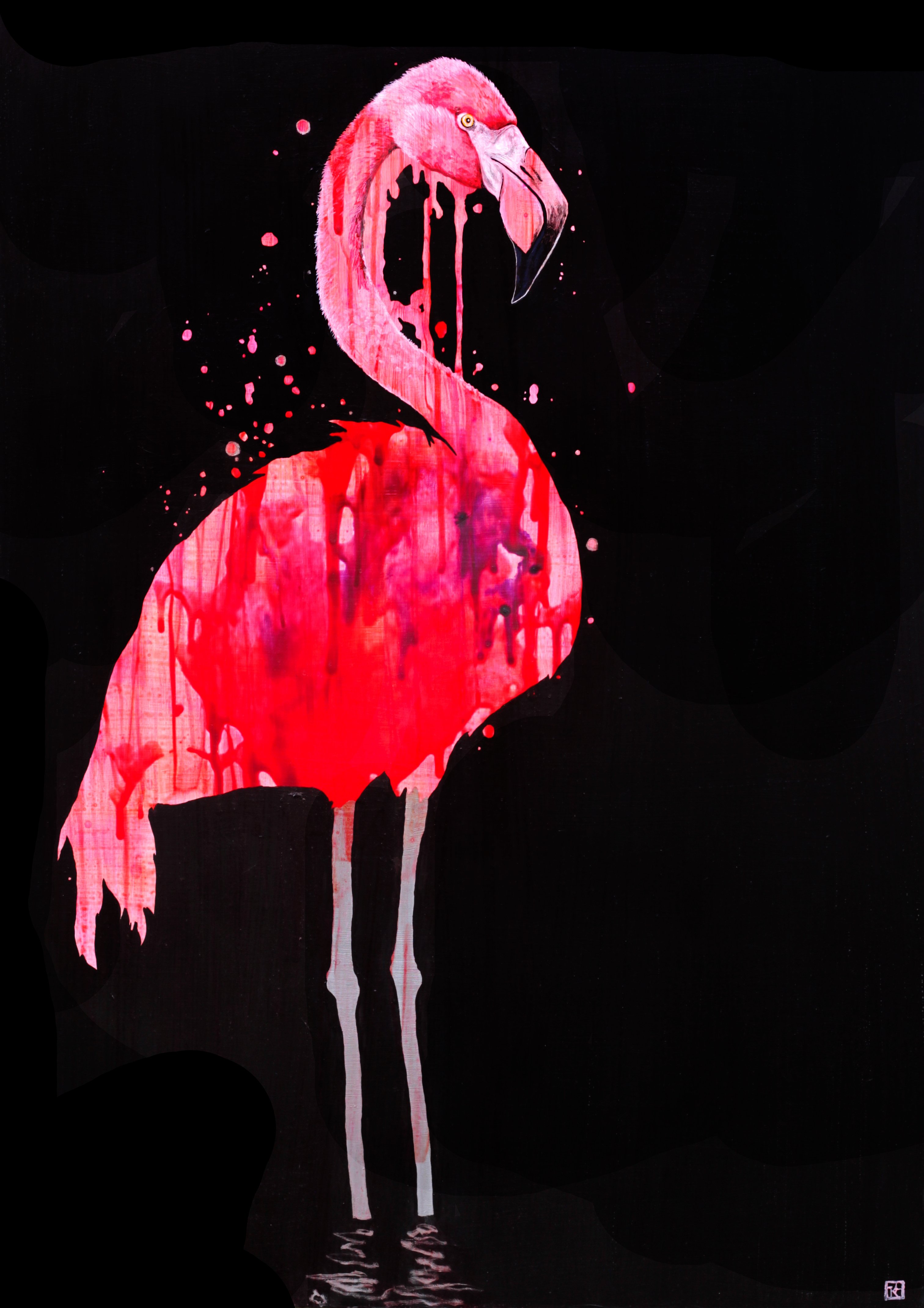 Flamingo