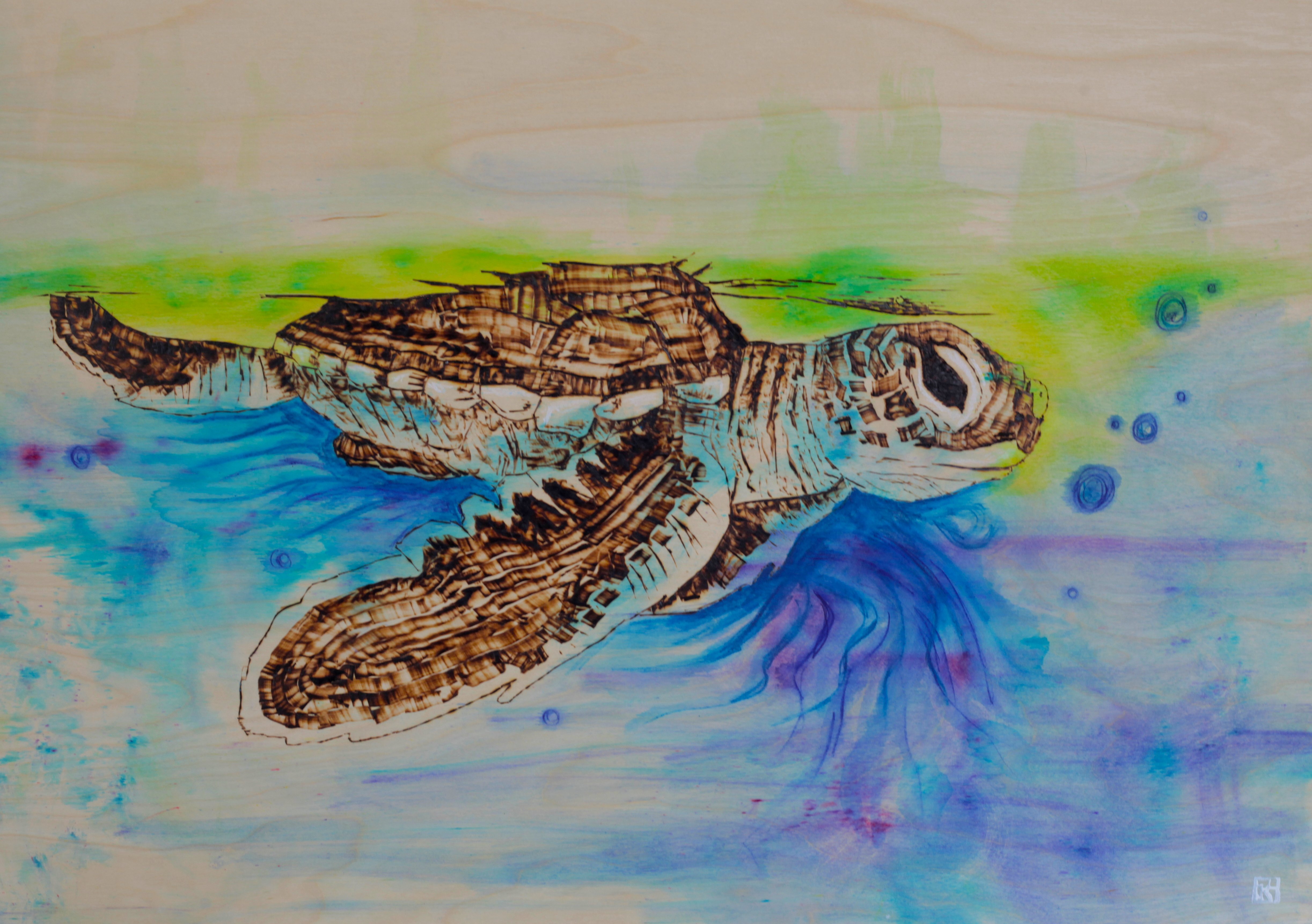 Pyrography turtle